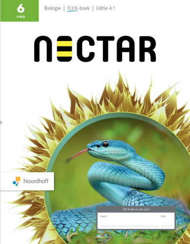 Nectar 4.1 FLEX 